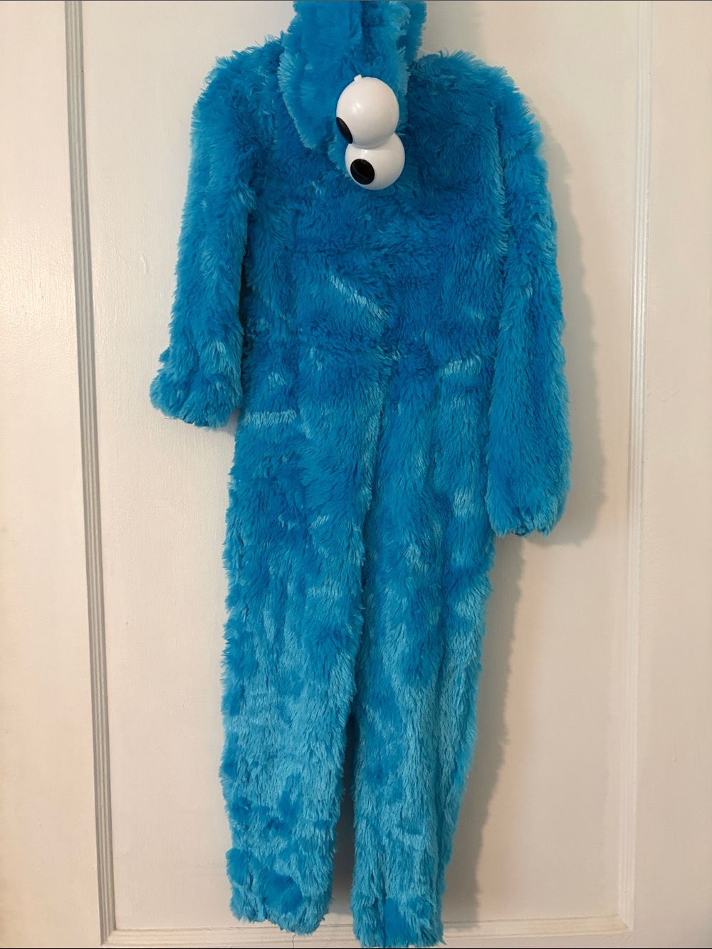 Cookie Monster Costume 2T/3T